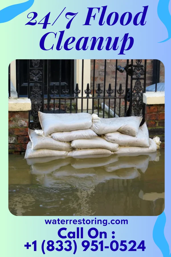 24/7 Flood Cleanup in Bonnie Brae, IL